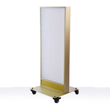 LED看板 薄型 電飾スタンド看板 内照式 店舗用 屋外看板 W560×H1500mm 3色展開 シルバー ブラック ゴールド TL-N600