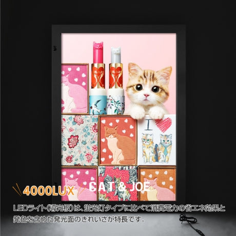 室外防水LEDポスターパネル W815mmxH1117mm 防犯鍵付き シルバー B1 壁付 okh49-b1-sv