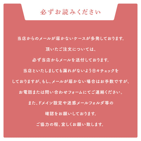 表札 ステンレス 戸建て 一戸建て用 店名 salon 2世帯 アイアン切り文字 おしゃれ オシャレ サイズオーダー 新築祝い sh-s0005