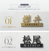 表札 ステンレス 切り文字 玄関用 店舗看板DIY 戸建 切り文字 おしゃれ マンション表札 貼るだけ 戸建て DIY ルームナンバー 番地 筆記体 手書き風 sh-s0028
